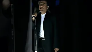 Sting Mami Desert Rose 