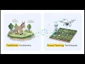 How Donkey Mating Works The Natural Breeding Courtship Process