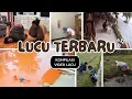 Download Lagu KOMPILASI VIDEO LUCU YANG PALING TERBARU DI AWAL BULAN MEI 2025