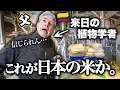 Lagu 植物博士のパパが日本の米づくりに大興奮！初めて目にする精米技術に衝撃と感動が止まらない【来日】