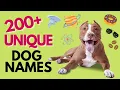 Top 200 UNIQUE Dog Names - Unisex
