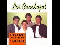 Pena y Alegría del Amor