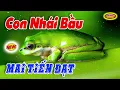 Lagu Con nhái bầu, chúc các bạn nghe nhạc vui vẻ và hạnh phúc