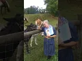 VBS Lesson Horses