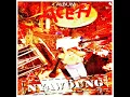 Download Lagu nyawoung