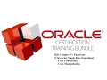 SQL Chapter 5 Single Row Function - Character