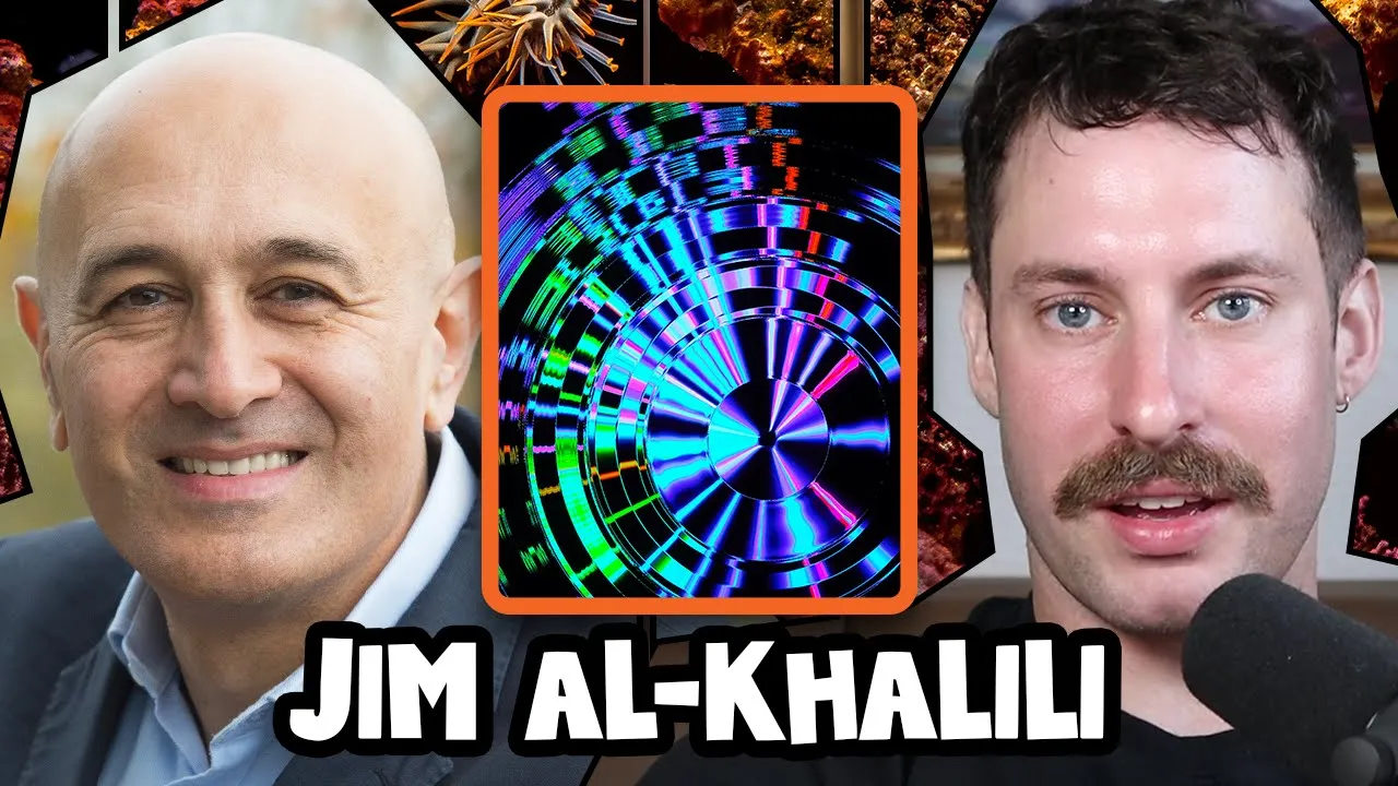 What Is Quantum Decoherence? | Jim Al-Khalili