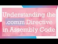 Understanding the comm Directive in Assembly Code