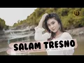 Lagu DIKE SABRINA - SALAM TRESNO | Jhandut Version | ( Official Music Video )