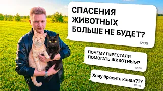«Спасение животных» — будет? Ответы на вопросы и важный разговор / SANI vlog