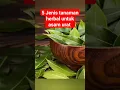 Download Lagu 5 Jenis tanaman herbal untuk asam urat #shorts #tanaman #tips #manfaat #plants #faktaunik #tipsehat