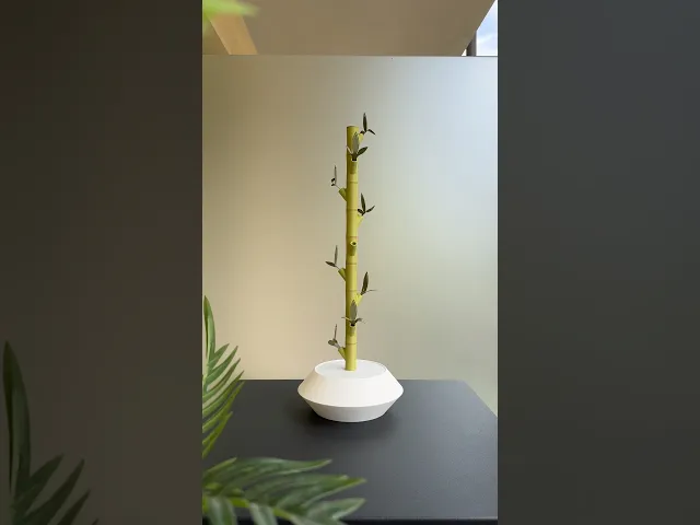 Lucky, modular photo display. video thumbnail