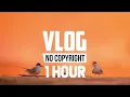 [1 Hour] - Alex Keeper - Can You Stay (Vlog No Copyright Music)