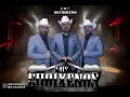 DÉJELA QUE SEA FELIZ- LOS CHOIXEÑOS EN VIVO (AUDIO)
