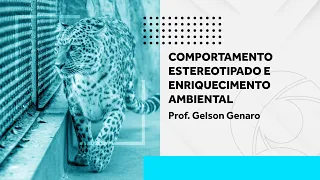 Comportamento Estereotipado e Enriquecimento Ambiental