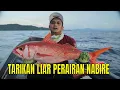 Download Lagu [FULL] TARIKAN LIAR PERAIRAN NABIRE | MANCING MANIA STRIKE BACK (16/08/25)