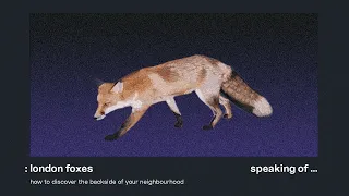 when you decide to follow a fox in London.