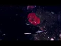 L'Impératrice — SLOW ODYSSÉE ( = The Emperor ! )
