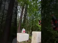 12 gauge flare gun vs 1 gallon of water