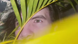 TÔ PERDIDO NA AMAZÔNIA NO MEIO DO MATO 158/365 🤙🏻💛