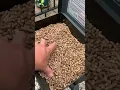 Z Grills Indigo Blue Junior Pellet Grill for 249 That s a smoking deal