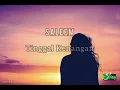 Download Lagu Saleem — Tinggal Kenangan