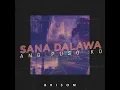 Sana Dalawa Ang Puso ko - Brisom & DJ Joey Santos