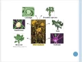 Bio 3201 Unit 4 Lesson 3 Natural and Artificial Selection
