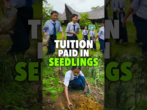 At This School, Tuition Is Paid in Tree Seedlings