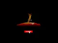432Hz Sensual Music, Tantric Vibes, Relaxing Ambient Meditation Music