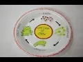 Life cycle of Frog Model of Life cycle of FROG Easy Model Science Model
