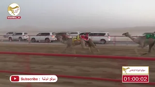 الشوط 2 شاهين لـ محمد حمد راعي قحير الدرعي 2 12 10 شارة الصندوق 2023 06 18 فطامين الرقيعات 