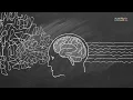 Intelligence Cycle