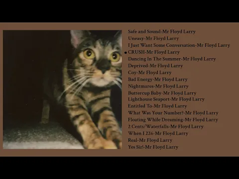 Rare psychedelic soft indie rock songs to lay in the snow and contemplate life (Mr Floyd Larry mix)