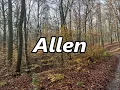 ALLEN as a Family Name Meaning and Origin