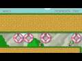 Coding SMW on SMM using Arbitrary Code Execution