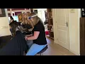 Download Lagu Eerste week bij Rizal Hair design na lockD