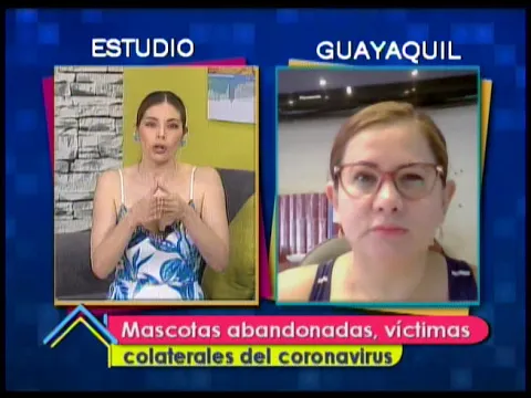 Mascotas abandonadas, víctimas colaterales del coronavirus