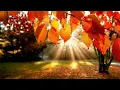 Download Lagu Музыка  Для  Души ,,ЗОЛОТАЯ  ГРУСТЬ,, Музыка Сергей Грищук  #музыкасергейгрищук #музыка