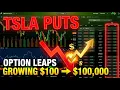 TSLA Put Options Strategy 79 to 100K in 12 Months