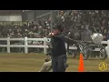 2025 Mid-America Trotting Sale - Day 1 AuctionPro
