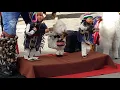 Peruvian One Man Band Busker & Puppet, pan flute music, real talent addictive MUSIC El Cóndor pasa