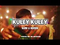 Lagu Kuley Kuley (Slowed + Reverb) Honey 3.0 | Yo Yo Honey Singh|Apache Indian #honeysingh #kuleykuley