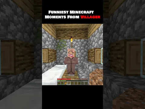 Funniest Minecraft Moments From Villager #minecraftfunny #funny