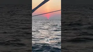The Dawn of a new day at sea. 🌊