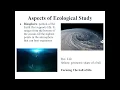 Biology Lesson 2 1 Principles of Ecology Explanation