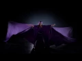 SAMIRA SAID - MAZAL - OFFICIAL VIDEO - 2014 - سميرة سعيد - كليب مازال - YouTube.wmv