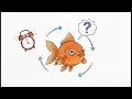 Leveraged Funds - Series 66 Exam Prep