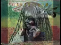 Peter Tosh - 400 Years
