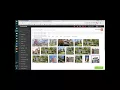 Kunversion 101 for Plum Tree Agents